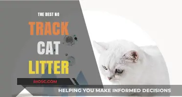 Revolutionize Your Litter Box: Discover the Best No-Track Cat Litter for a Cleaner Home