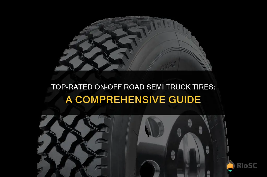 the best on off road semi truck tires