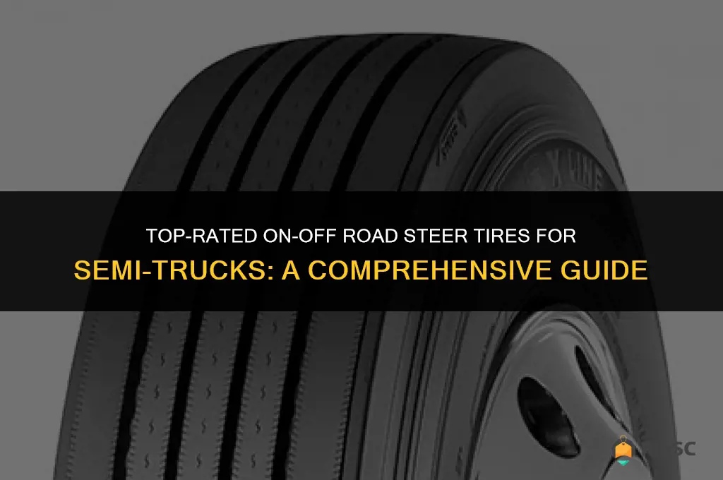 the best on off road steer tires for semi truck