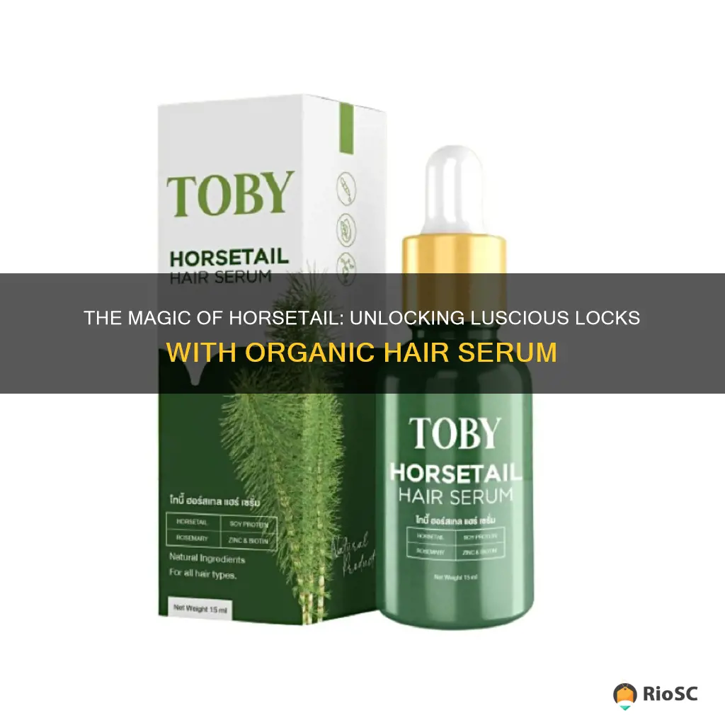 the best organic serum for hair with horsetail