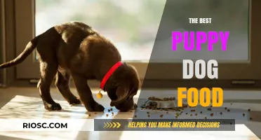Nourishing Your Furry Friend: A Guide to the Best Puppy Dog Food