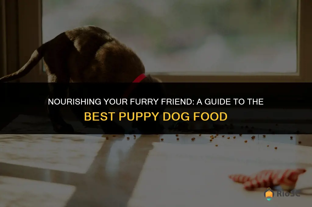 the best puppy dog food