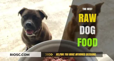 Unleashing Nutrition: A Guide to the Best Raw Dog Food for Optimal Health