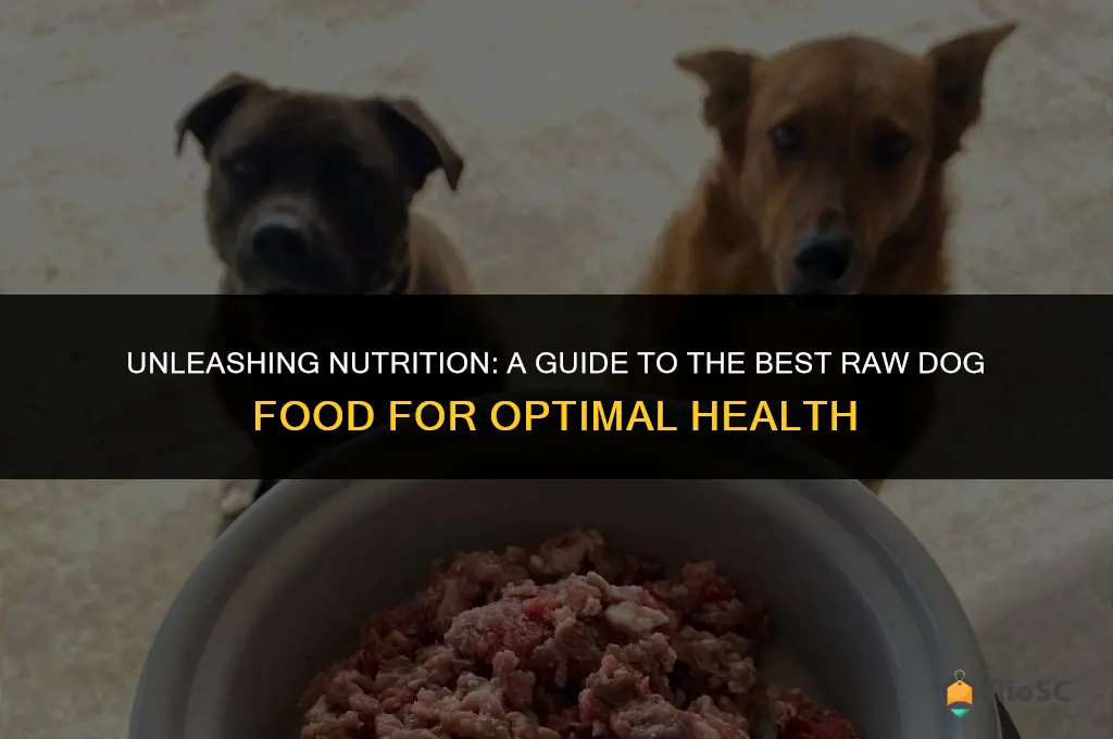 the best raw dog food