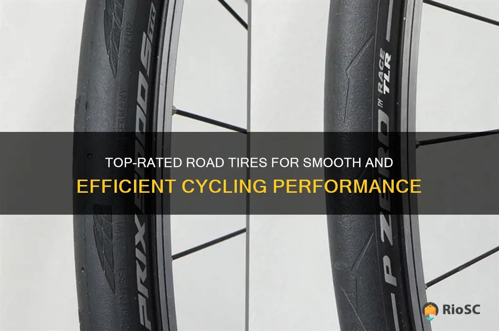 the best road tires
