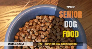 Nutritious Delights for Golden Years: The Best Senior Dog Food Options
