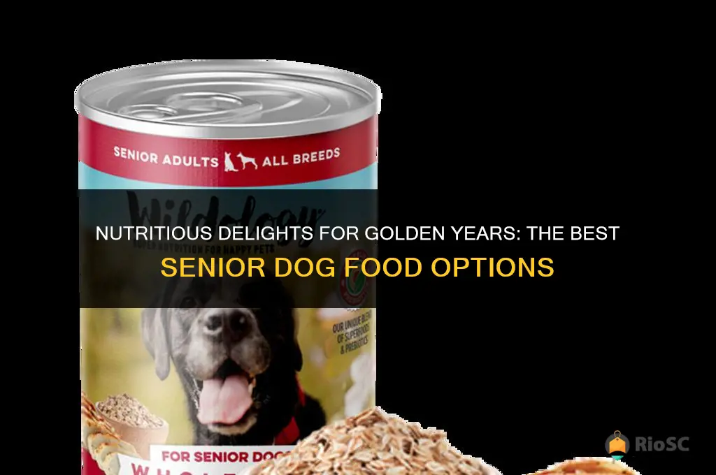 the best senior dog food