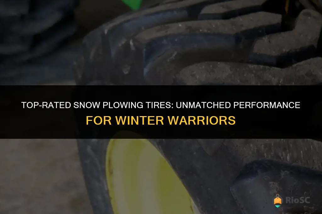 the best snow plowing tires
