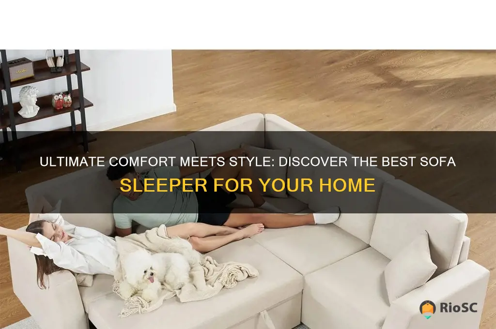 the best sofa sleeper