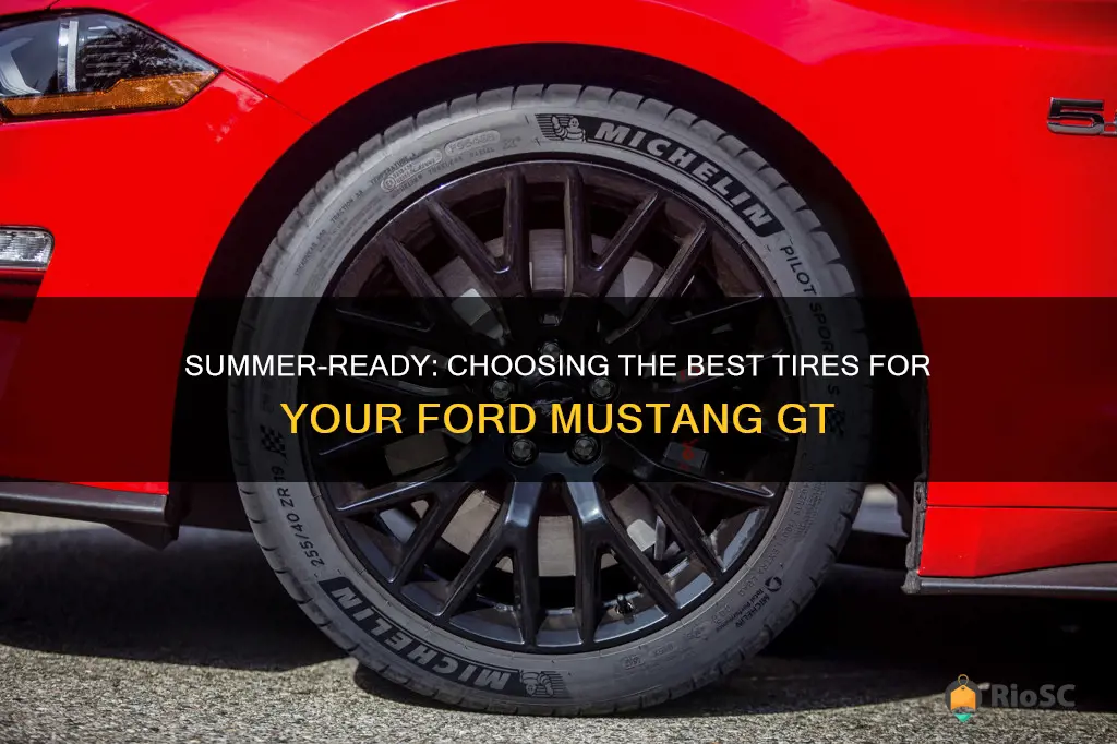 the best summer tires for ford mustang gt