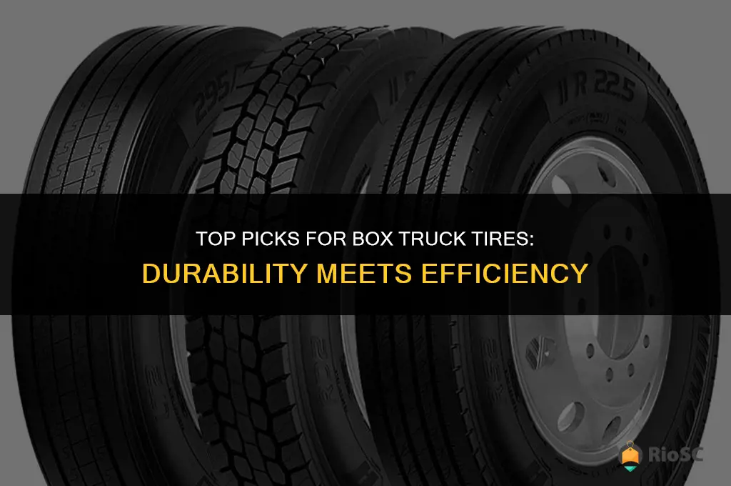 the best tires for box truck