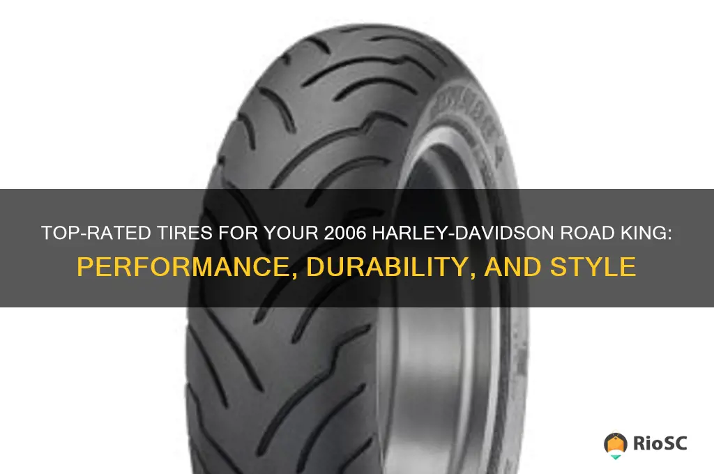 the best tires for my 2006 road king