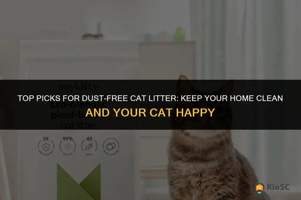 the best tracking dust free cat litter