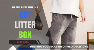 Effective Methods for Sterilizing Your Cat’s Litter Box: A Step-by-Step Guide