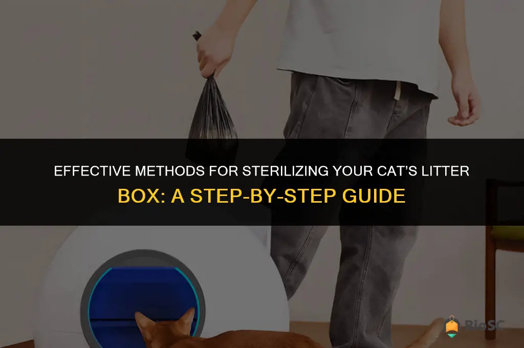 the best way to sterilize a cat litter box