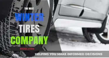 Top Winter Tire Brands: A Comprehensive Guide to Safe and Reliable Winter Driving