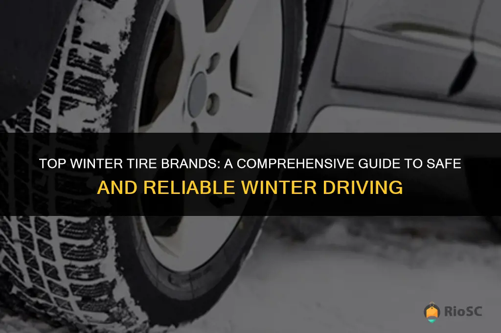 the best winter tires company