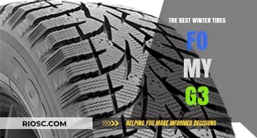 Top Winter Tire Picks for Your G3: Stay Safe and Stylish on the Slippery Roads
