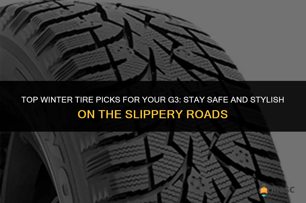 the best winter tires fo my g3