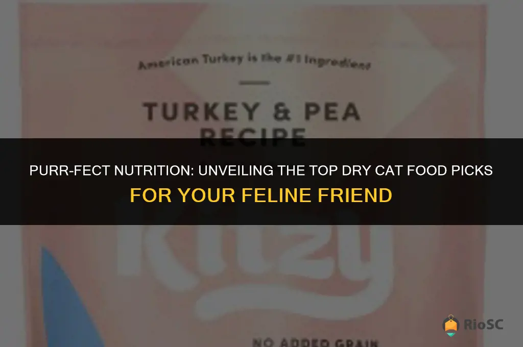the cat site best dry cat food