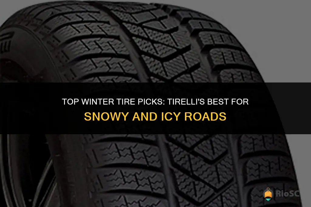 tirerack best winter tires