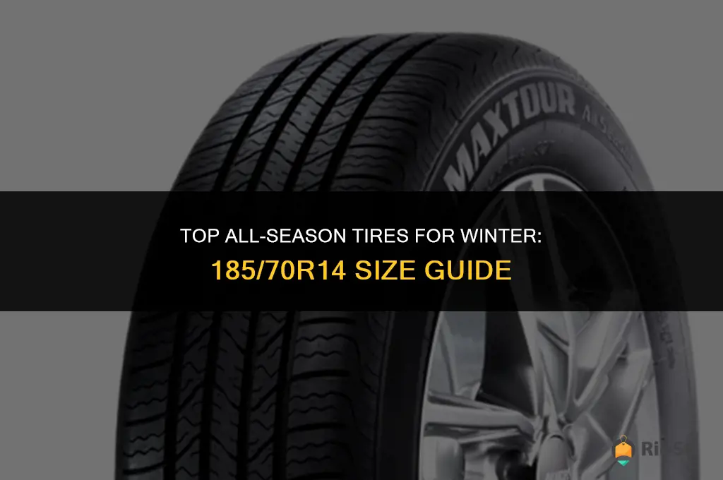 tires 185 70r14 best all season winter too