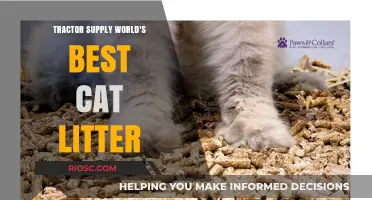 Tractor Supply World's Best Cat Litter: Revolutionizing Pet Care with Eco-Friendly Solutions