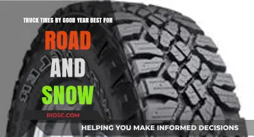 Goodyear Truck Tires: Optimal Performance for Road and Snow Conditions