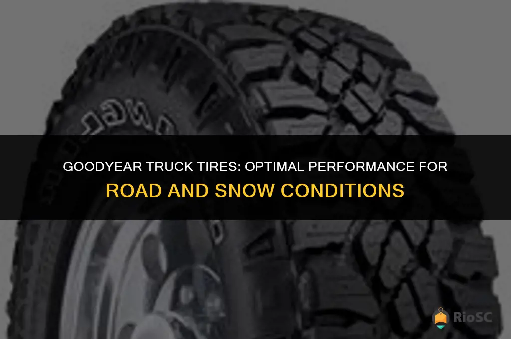 truck tires by good year best for road and snow
