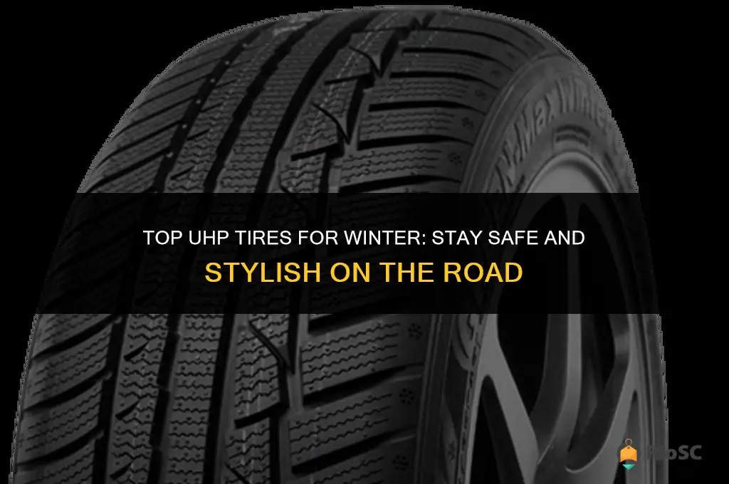 uhp tires winter best