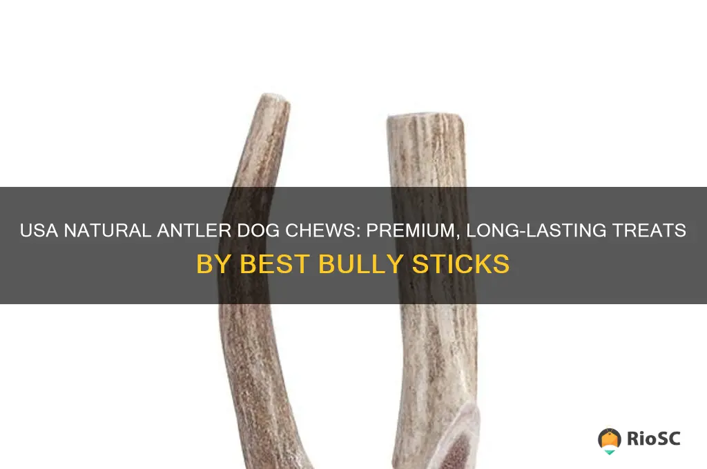 usa natural antler dog chews by best bully sticks