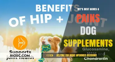Vet's Best Aches & Pains Dog Supplements: Natural Relief for Your Canine Companion's Joint Discomfort