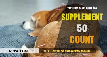 Vet's Best Aches & Pains Dog Supplement: 50-Count Relief for Your Canine Companion