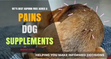 Vet's Best Aspirin-Free Aches & Pains Dog Supplements: Natural Relief for Your Canine Companion