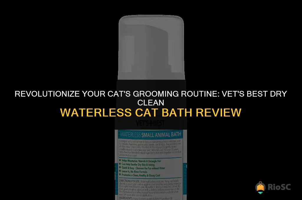 vet