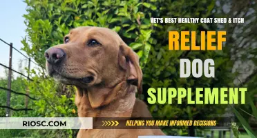 Soothe and Shine: Vet's Best Healthy Coat Shed & Itch Relief Dog Supplement for a Happy, Healthy Pup