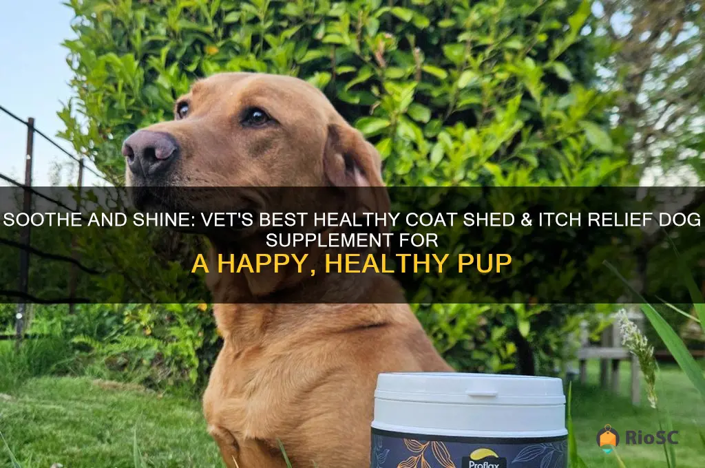 vet