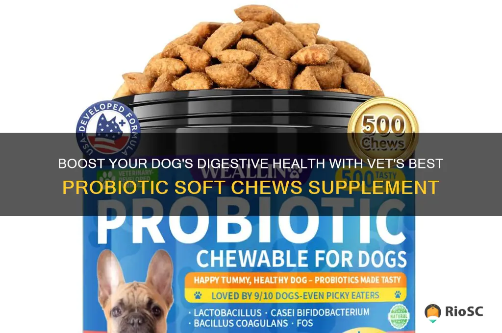 vet