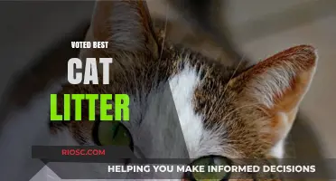 Purr-fect Choice: Top-Rated Cat Litter Wins Pet Owners' Hearts