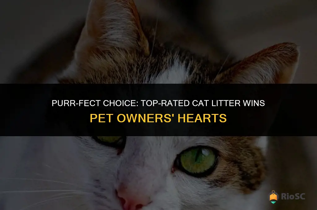 voted best cat litter