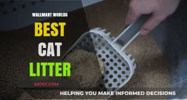 Why Walmart's World's Best Cat Litter is a Game-Changer for Pet Owners