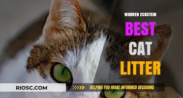 Warren Eckstein's Top Pick: The Best Cat Litter for Happy and Healthy Felines