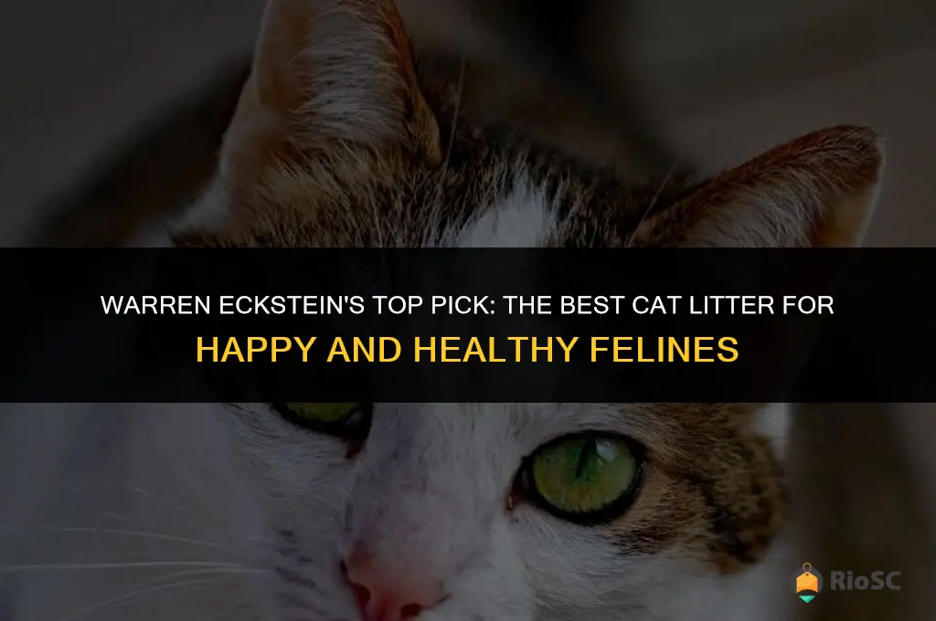 warren eckstein best cat litter