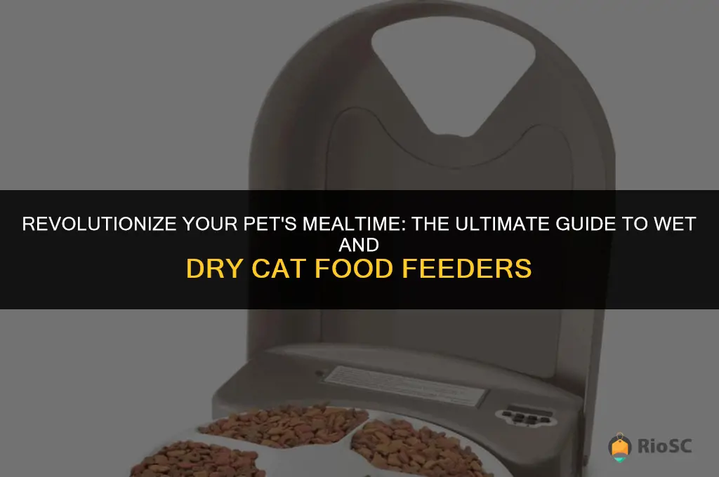wet and dry cat food feeder best