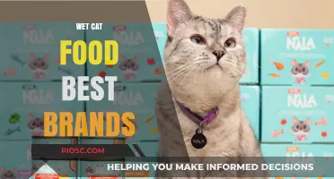 Top-Rated Wet Cat Food Brands: A Comprehensive Guide for Feline Nutrition