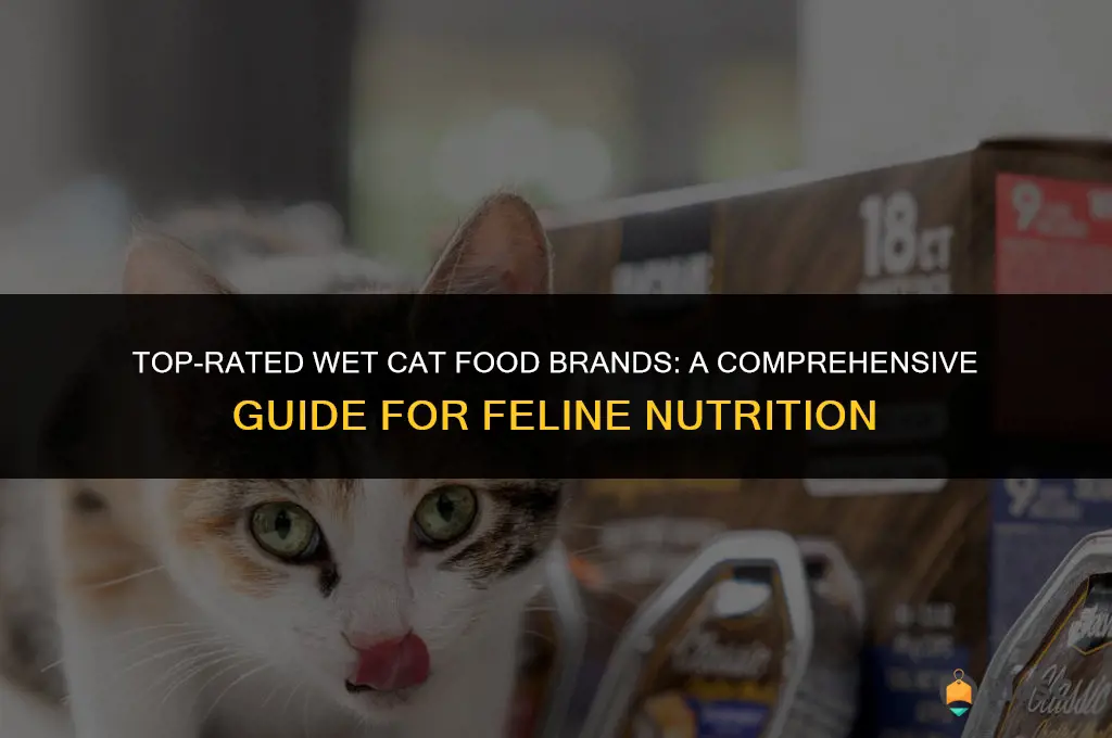 wet cat food best brands
