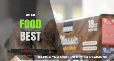 Top Picks for Your Feline Friend: The Best Wet Cat Foods of 2024