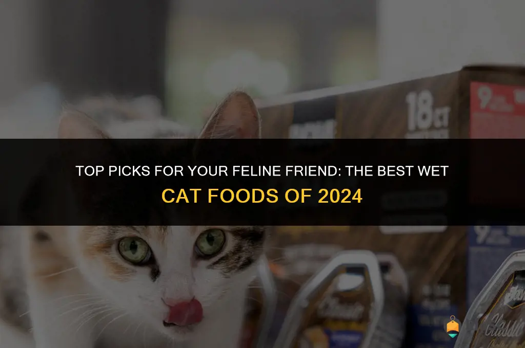 wet cat food best