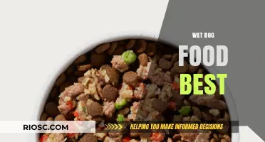 Top Picks for Wet Dog Food: Nutrition and Taste Combined