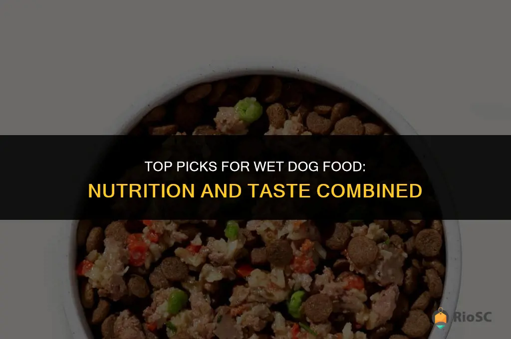 wet dog food best